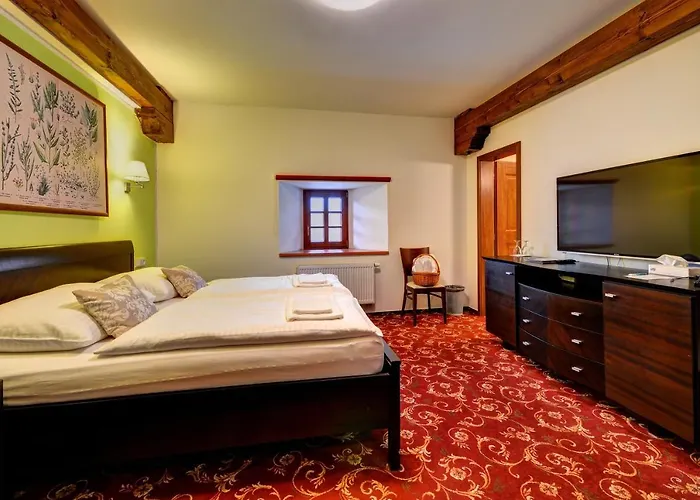 Hotel Zamek Valec Vladislav